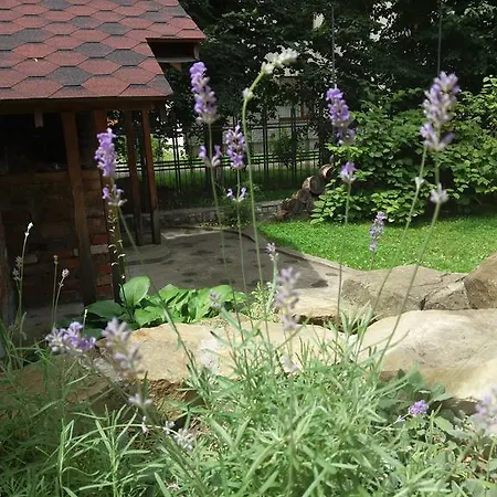 Art D'eco Apartment *